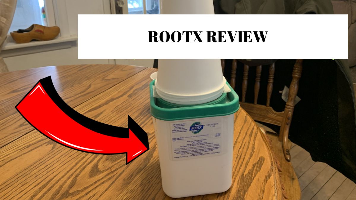 Bottle of Rootx